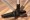 Wessel-Werk D330 Turn and Clean Hard Floor Brush - 32mm (FTW132-6)